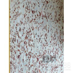 湛江水磨石施工隊與天津環(huán)氧地坪漆施工的專業(yè)解析